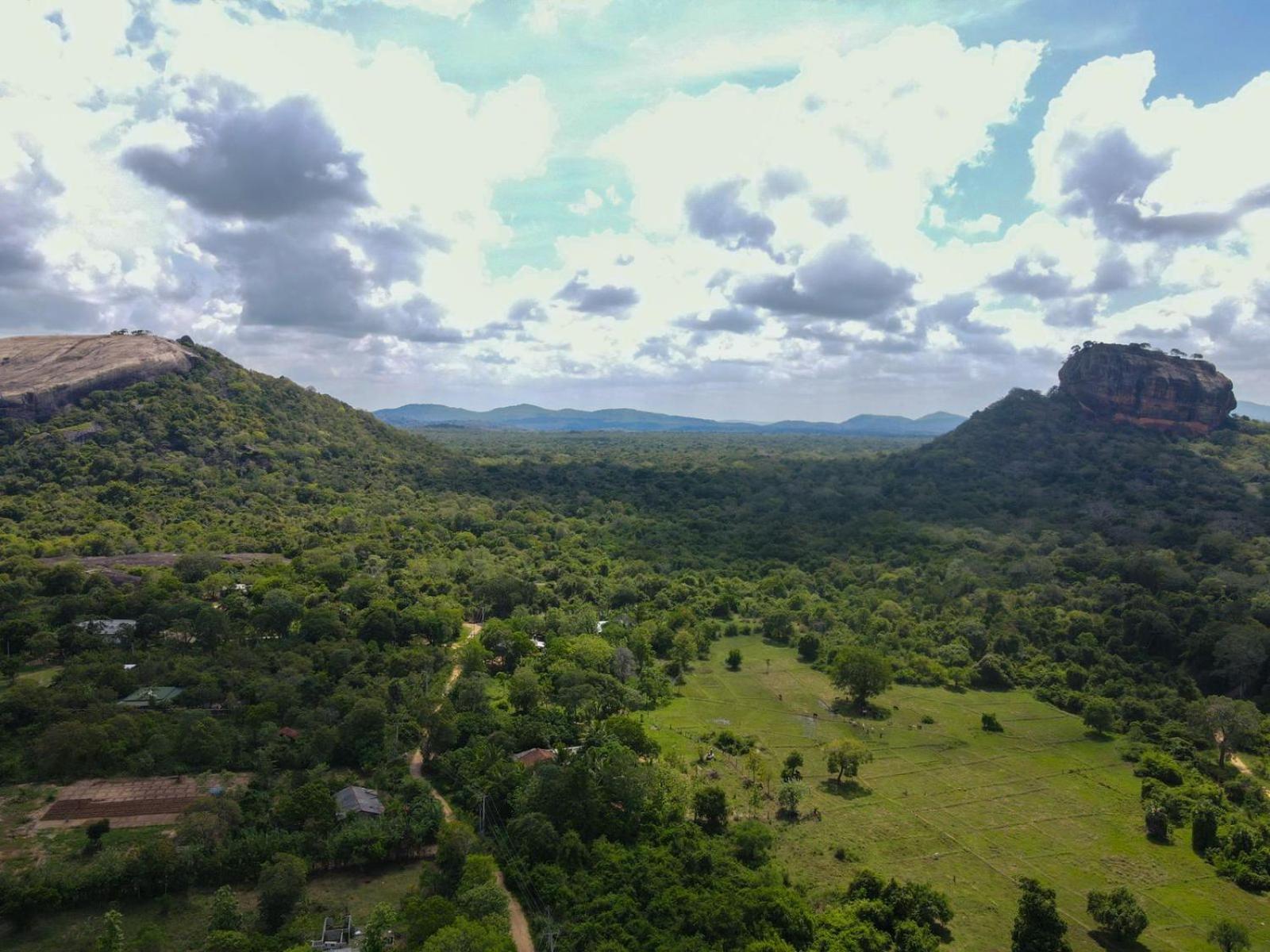 Sigiri Close-Up View Guest Sigiriya Exterior foto