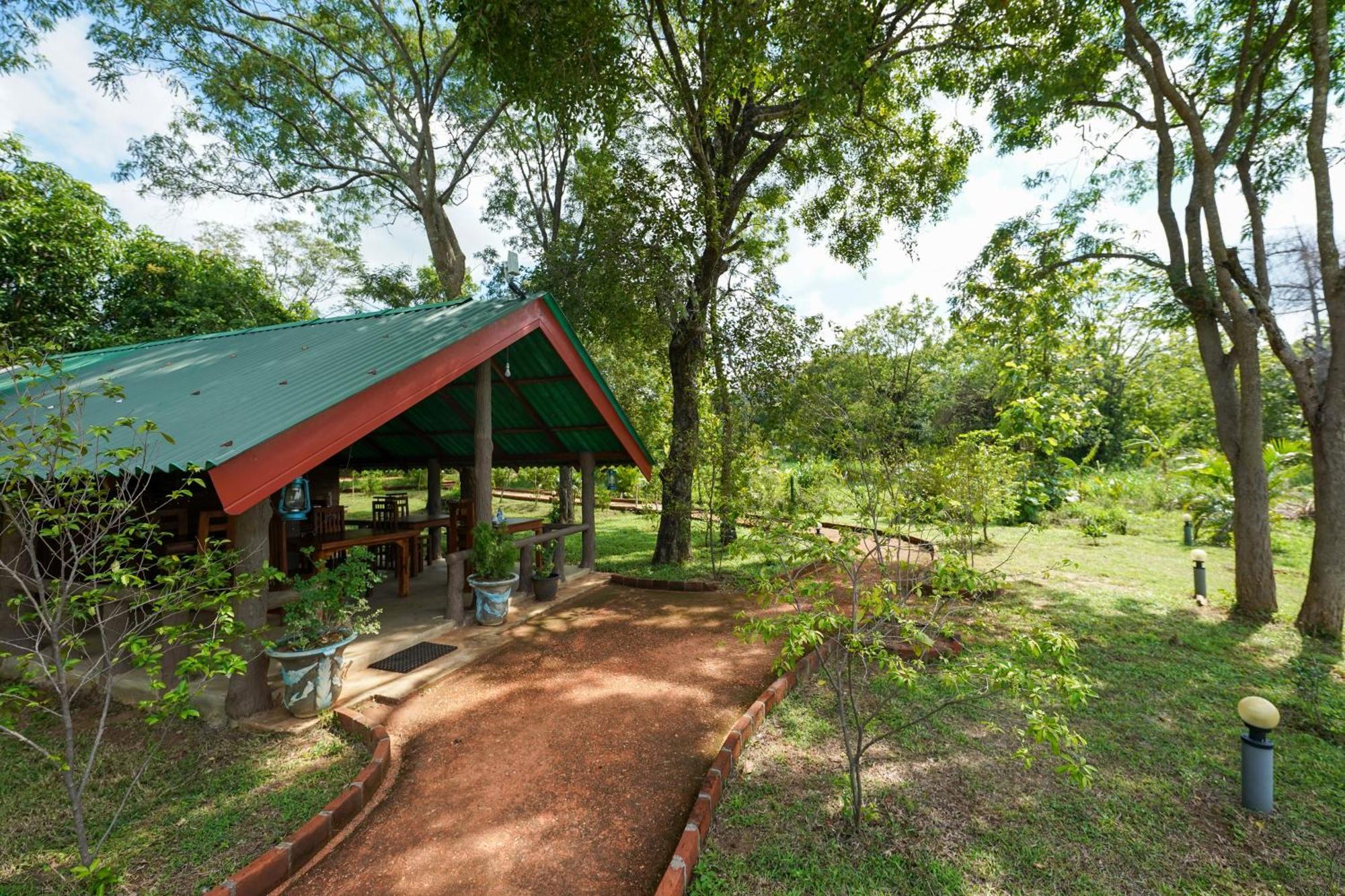 Sigiri Close-Up View Guest Sigiriya Exterior foto
