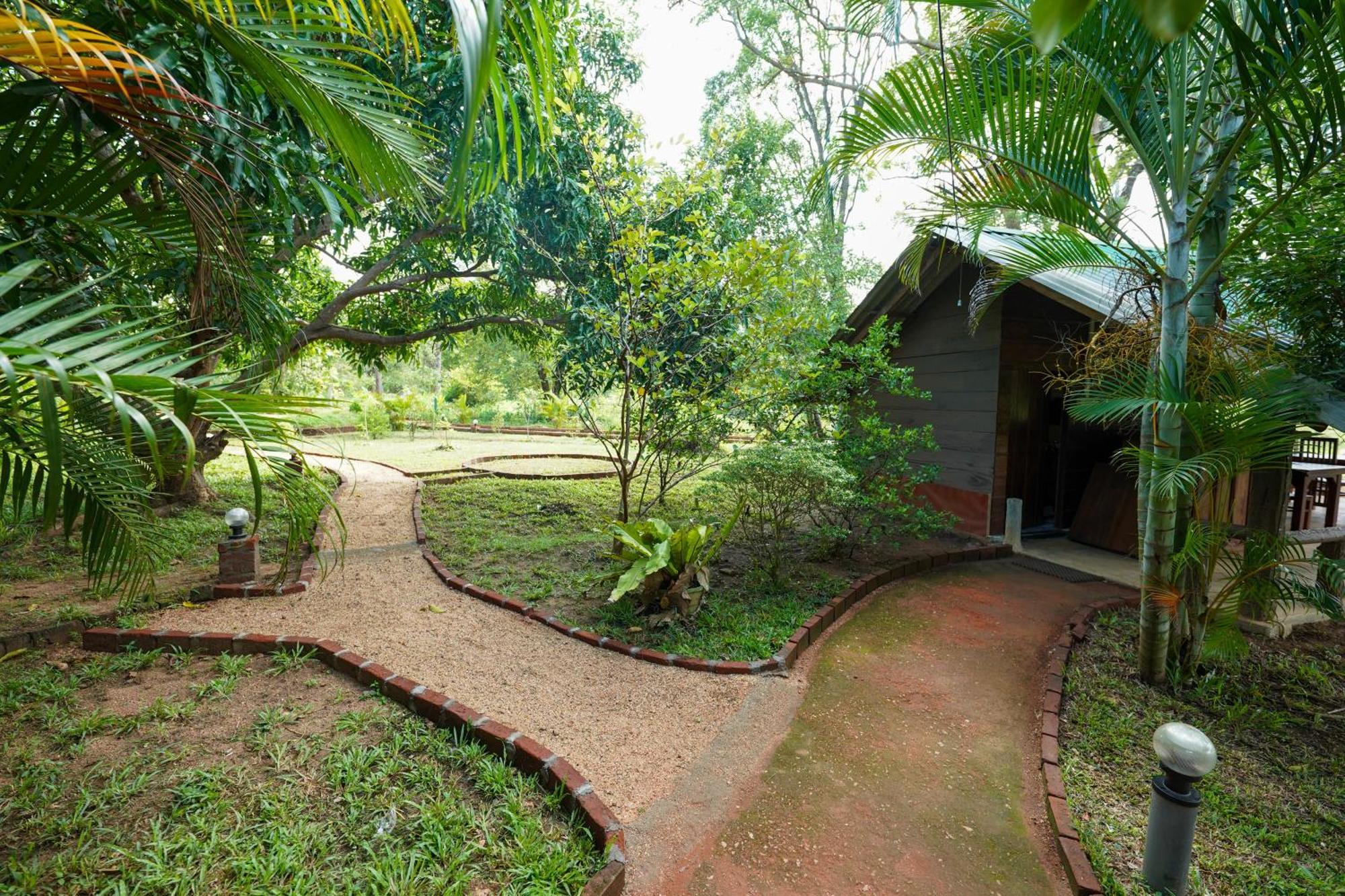 Sigiri Close-Up View Guest Sigiriya Exterior foto