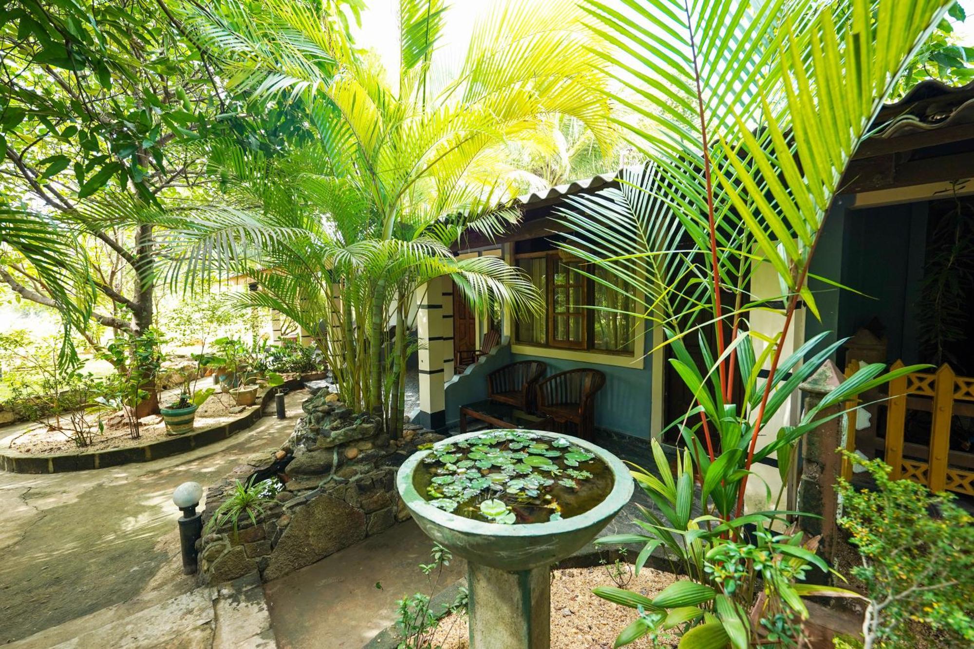 Sigiri Close-Up View Guest Sigiriya Exterior foto