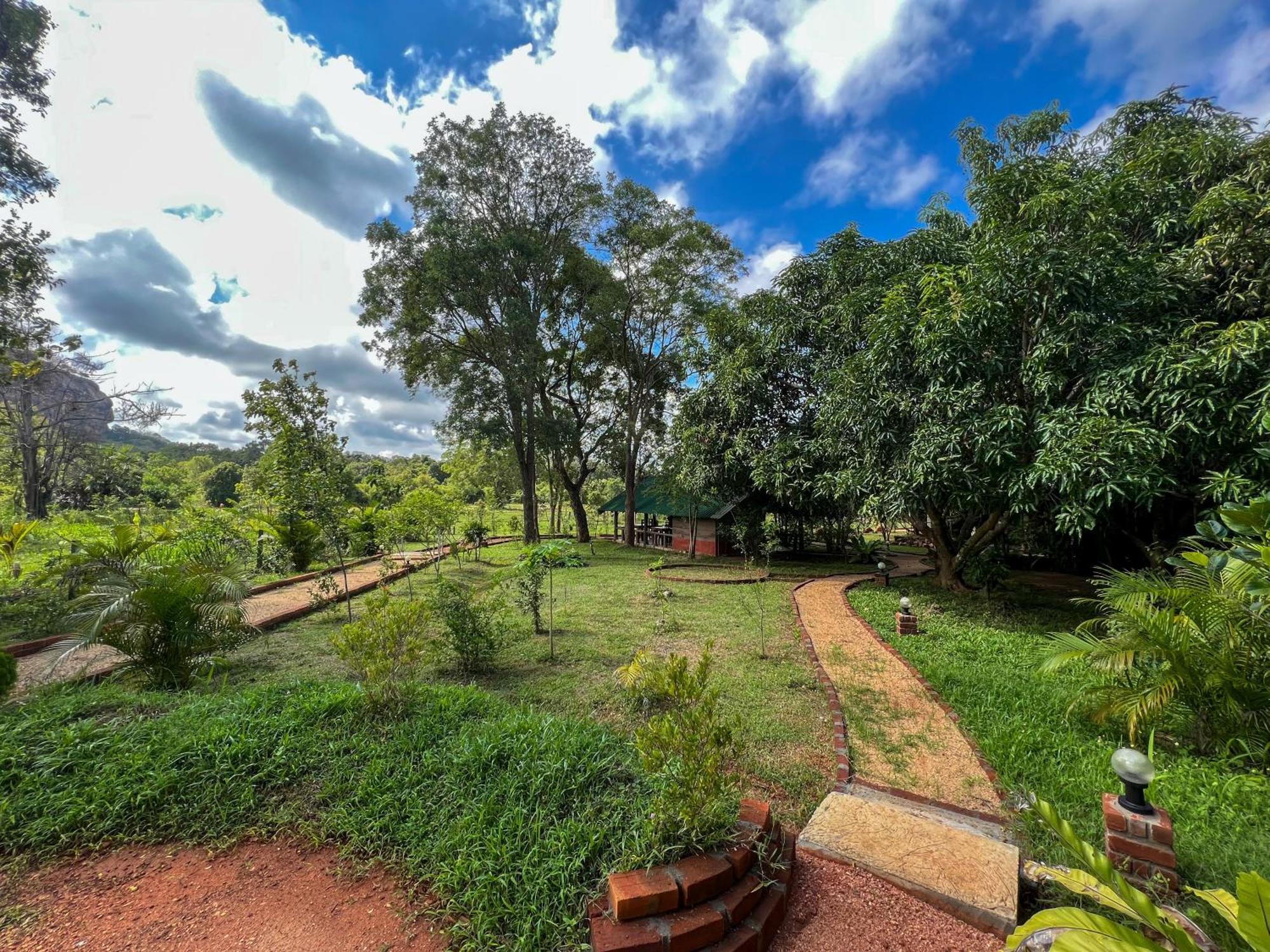 Sigiri Close-Up View Guest Sigiriya Exterior foto