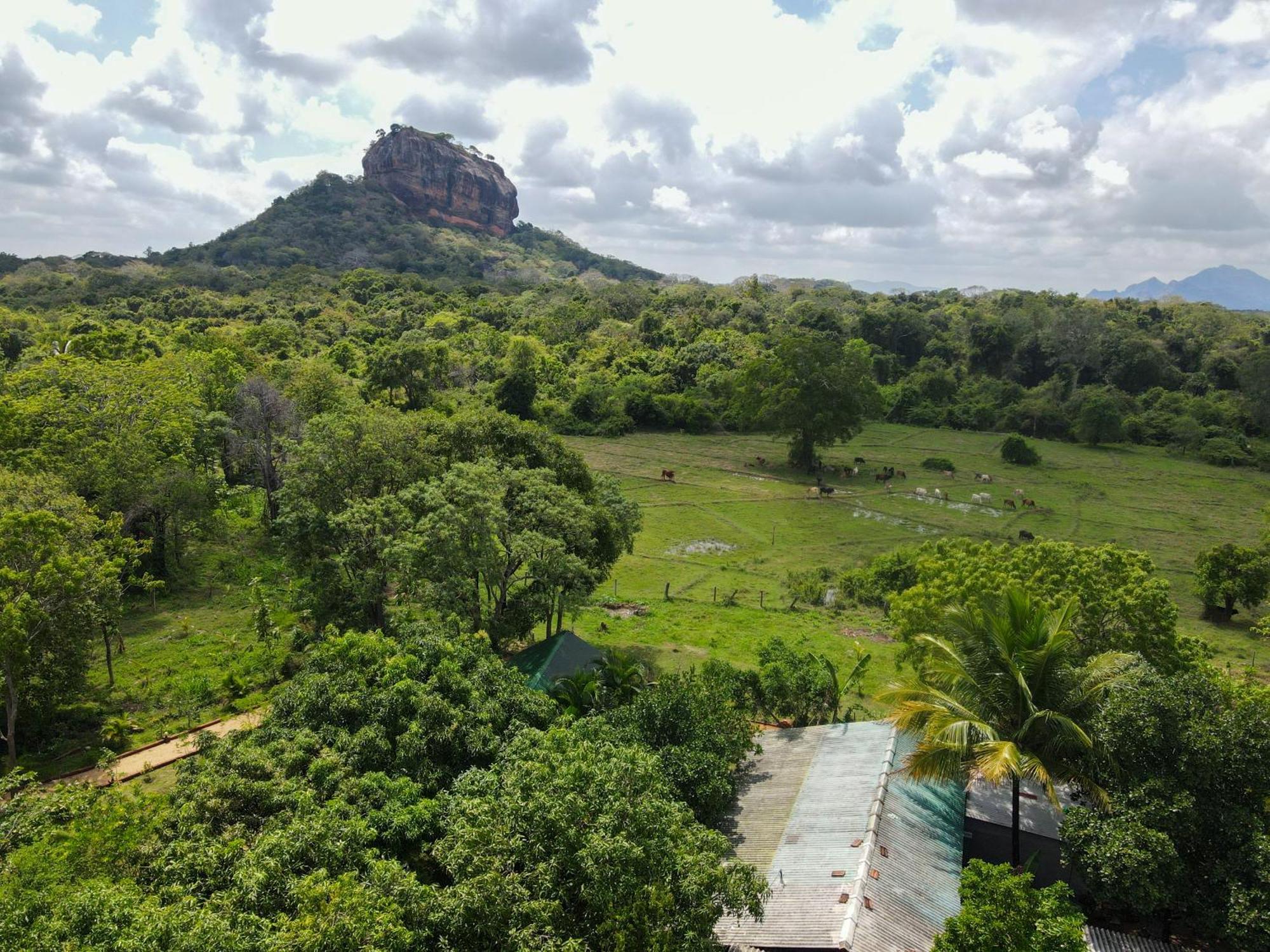 Sigiri Close-Up View Guest Sigiriya Exterior foto